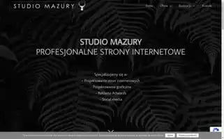 Studiomazury.pl Screenshot 2024-06-16 13:16:05