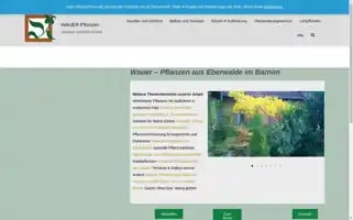 Pflanzen-sortimenter.de Screenshot 2024-05-23 03:52:14