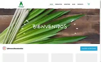 Limoncillocolombia.com Screenshot 2024-05-28 09:53:36