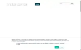 Weseegenius.com Screenshot 2024-07-06 14:47:40