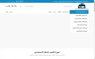 Detectorsoman.com Screenshot 2024-05-24 19:04:01