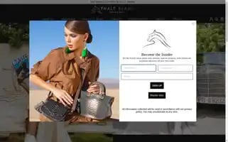 Thaleblanc.com Screenshot 2024-05-04 21:54:31