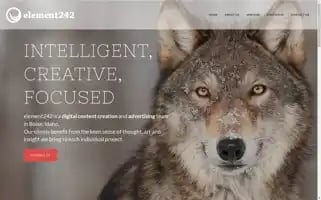 Element242.com Screenshot 2024-06-18 16:35:47