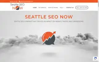 Seattleseonow.com Screenshot 2024-07-01 11:56:42