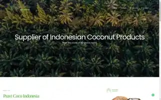 Pravicoco.com Screenshot 2024-05-26 04:36:22