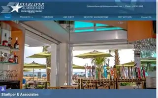 Starliperassociates.com Screenshot 2024-07-05 06:19:24