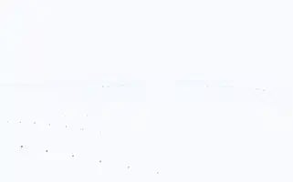 Cocukatolyesi.com Screenshot 2024-07-08 10:40:13