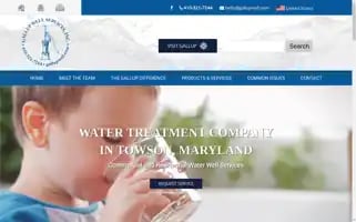 Gallupwell.com Screenshot 2024-07-07 04:13:47