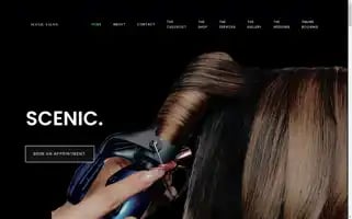 Thescenicsalon.com Screenshot 2024-05-24 06:05:17