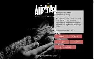 Katzenhotel-aristotel.ch Screenshot 2024-04-24 06:24:01