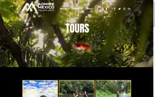 Admiremexicotours.com Screenshot 2024-04-15 04:53:30