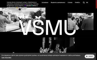 Vsmu.sk Screenshot 2024-06-18 15:10:24