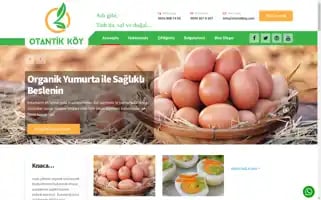 Otantikkoy.com Screenshot 2024-05-18 07:45:04