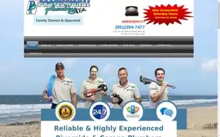 Professional-plumbing.com Screenshot 2024-05-16 13:48:40