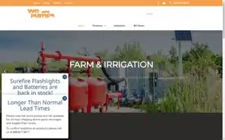 Wegotpumps.com Screenshot 2024-06-12 06:39:52