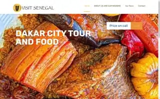 Visit-senegal.com Screenshot 2024-06-15 08:56:38