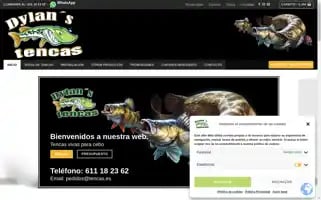 Tencas.es Screenshot 2024-05-21 04:55:06