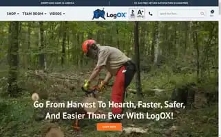 Thelogox.com Screenshot 2024-05-04 11:10:40