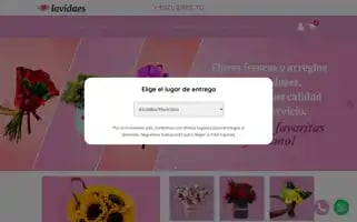 Floreslavidaes.com.mx Screenshot 2024-06-28 11:23:15