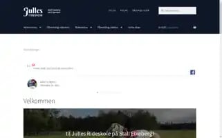 Jullesrideskole.no Screenshot 2024-05-19 16:08:16