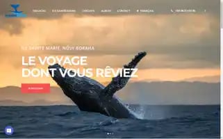 Boraha-tours-travel.com Screenshot 2024-04-23 04:13:59