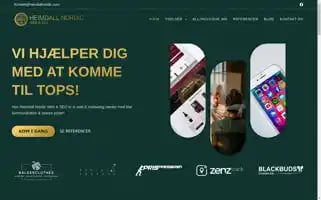 Heimdallnordic.com Screenshot 2024-06-16 12:21:03