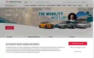 Valleiautogroep.nl Screenshot 2024-07-02 04:01:23