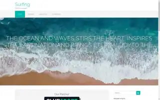 Writerceo.com Screenshot 2024-07-01 08:57:37