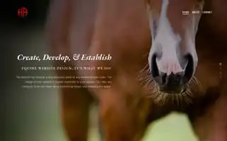 Horsealley.com Screenshot 2024-07-07 01:57:53