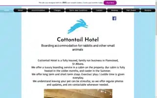 Cottontailhotel.com Screenshot 2024-04-15 10:16:08