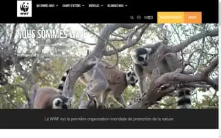 Wwf.mg Screenshot 2024-07-09 12:32:23