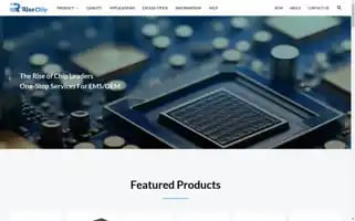 Risechipic.com Screenshot 2024-05-24 18:19:12