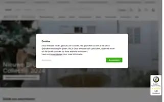 Beautifulbrideshop.nl Screenshot 2024-06-17 01:27:40
