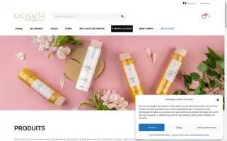 Calinachi.fr Screenshot 2024-06-26 23:44:07