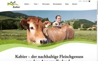 Kabier.ch Screenshot 2024-06-11 06:04:50