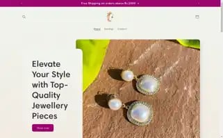 Shaneez.store Screenshot 2024-05-03 23:22:13