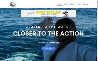 Goldcoastwhalewatch.com.au Screenshot 2024-06-12 23:59:11