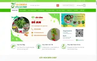 Caycanhdian.com Screenshot 2024-05-26 02:13:19