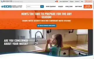 Edspumps.com Screenshot 2024-07-07 04:54:08