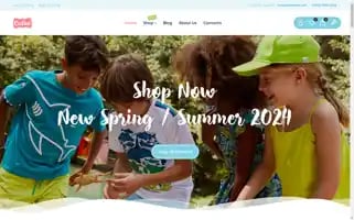 Calinikids.com Screenshot 2024-05-20 22:48:46