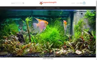 Aquariumgift.com Screenshot 2024-05-26 19:01:24
