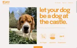 Thecastledoghotel.com Screenshot 2024-04-26 15:05:55