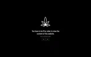Icannabiz.ca Screenshot 2024-06-19 02:31:19