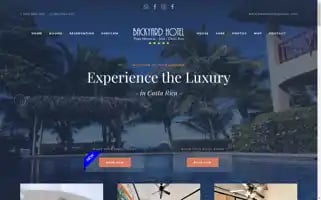 Backyardhotel.com Screenshot 2024-04-26 16:16:15