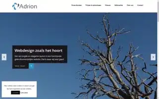 Adrion.be Screenshot 2024-06-17 02:14:28