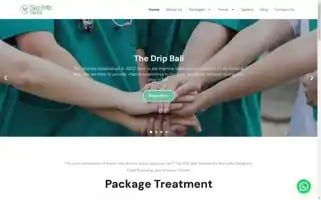 Thedripbaliandtravel.com Screenshot 2024-04-16 01:06:21