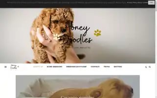 Honeydoodles.pl Screenshot 2024-05-19 03:33:27