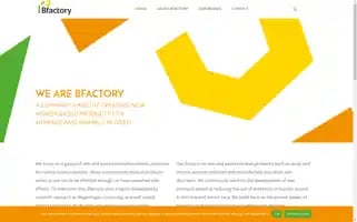 Bfactory.nl Screenshot 2024-06-28 18:00:13