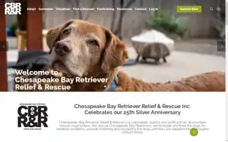 Cbrrescue.org Screenshot 2024-06-30 15:14:04