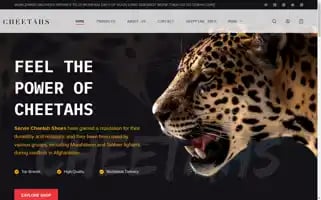 Cheetahs.uk Screenshot 2024-05-28 08:36:48